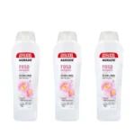 Agrado Gel De Baño Y Ducha Rosa Mosqueta 1250ml - Pack de 3 x 1250 ML