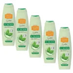 Natural Honey Gel Ducha Te Verde Addiction 600 ml x 5 uds. Estimulante y Refrescante