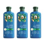 HERBAL ESSENCES Aceite de Argán Repara Champú Champú vegano repara y recarga con aceite de argán para cabello dañado Pack 3x350 ml