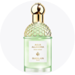 Perfumes para Hombre